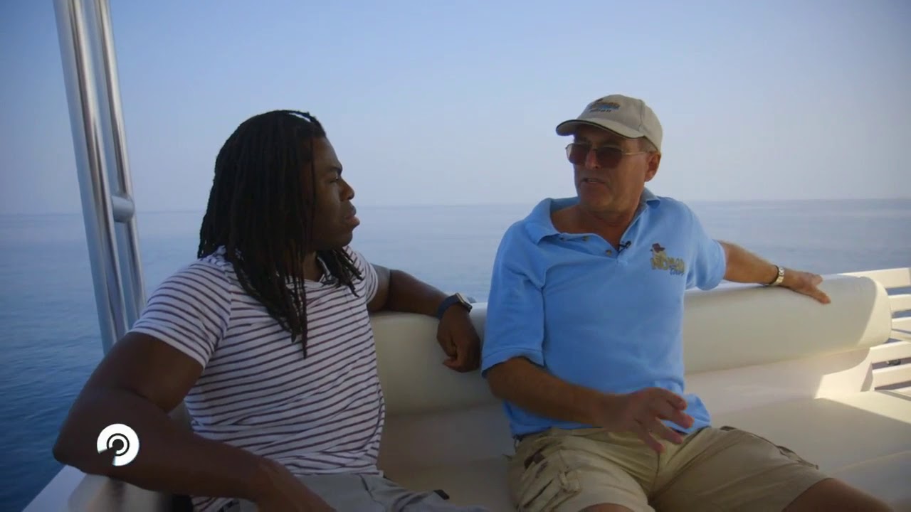 Dolphin Watching Muscat,Oman