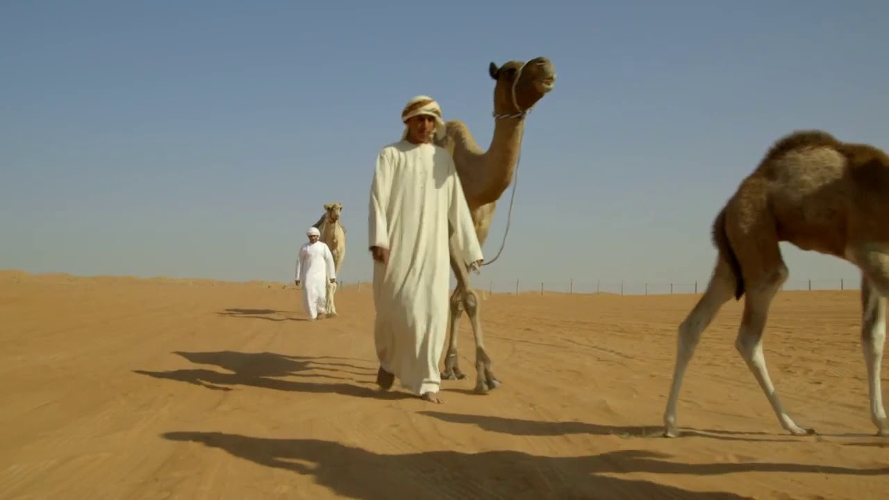 Overnight Tours from Muscat