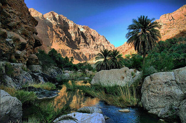 wadi tiwi