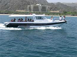 Dolphin Watching Boat