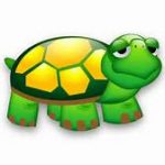 Turtle icon