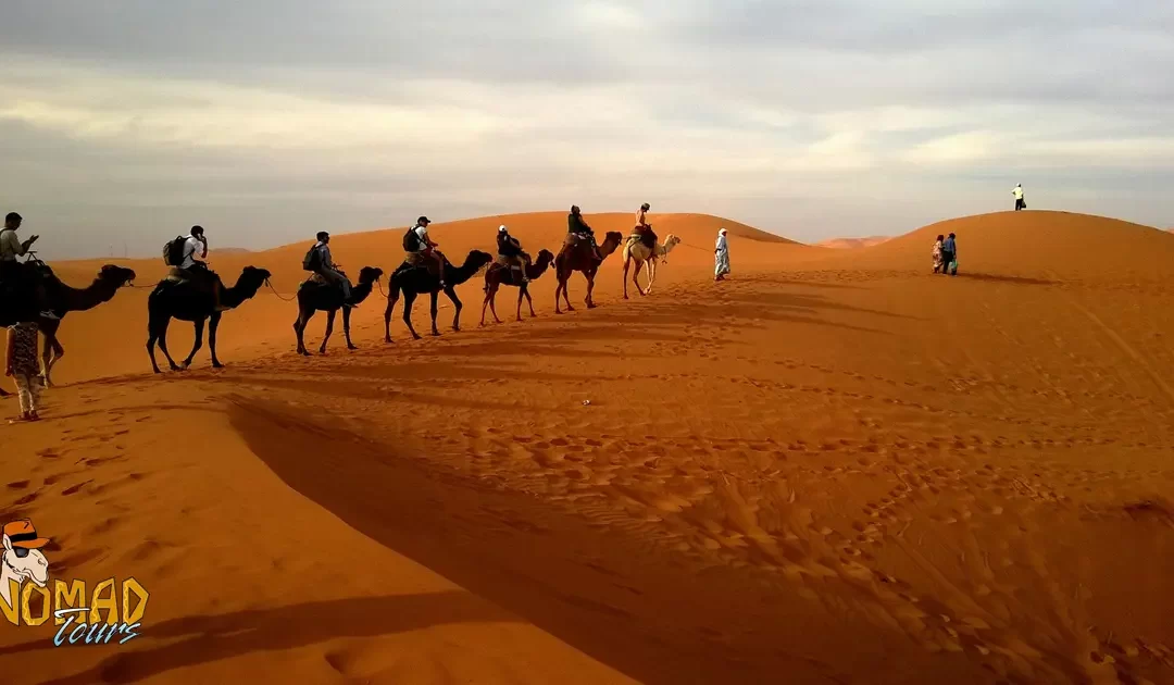 Top Deserts in Oman