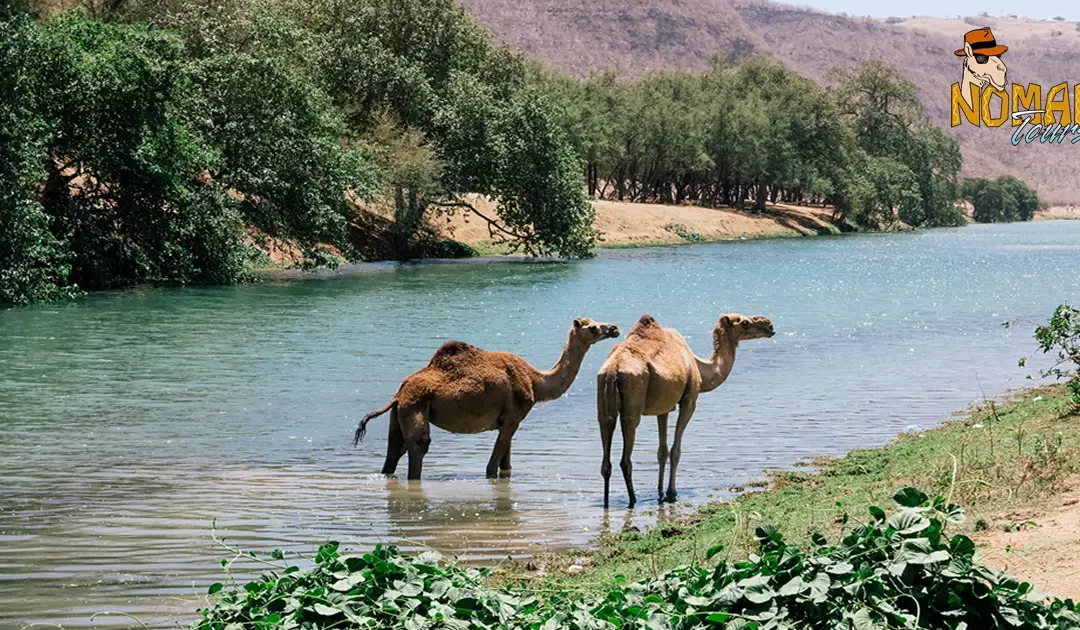 7 Wadis in Oman – Discovering the Wonders of the Wadis