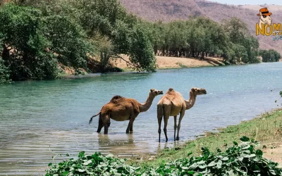 Wadis in Oman