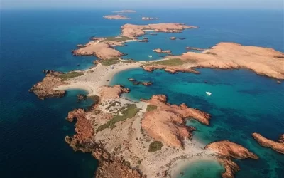 Daymaniyat Islands Snorkeling