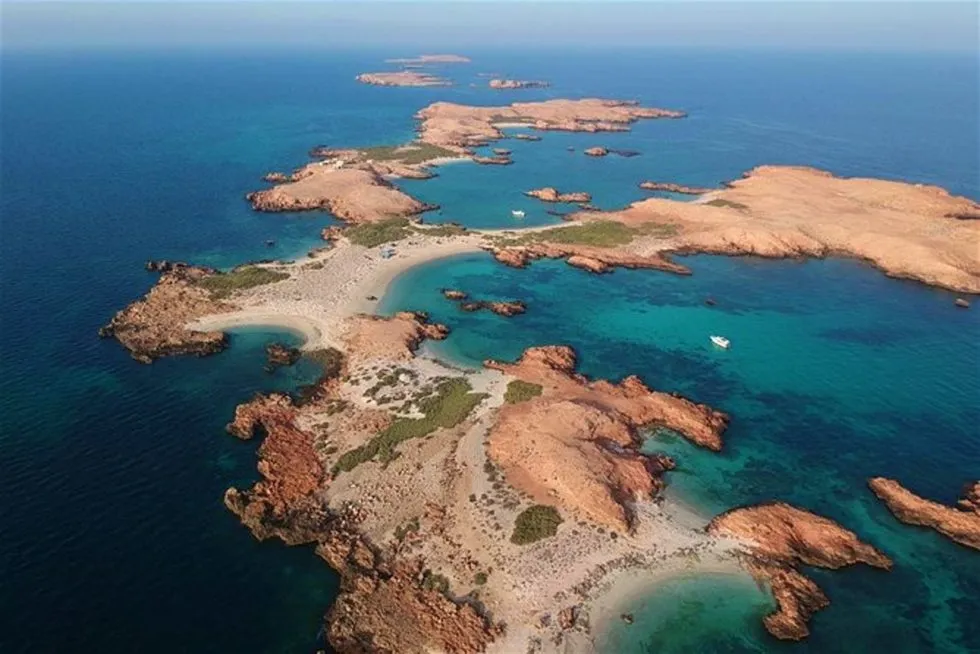 Oman Diving Spots