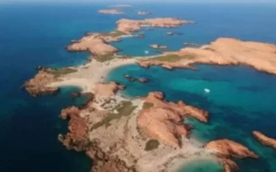 Oman Diving Spots