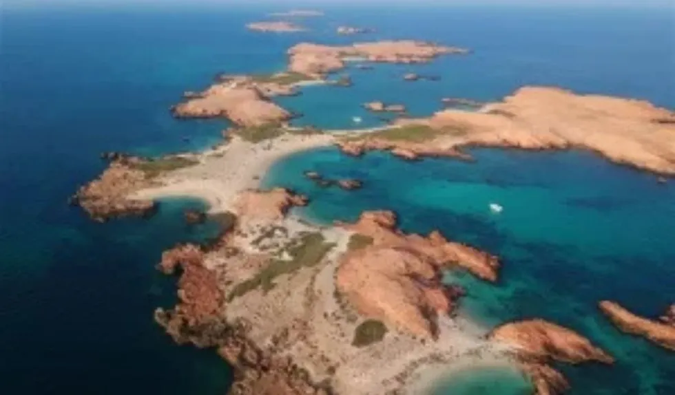 Oman Diving Spots