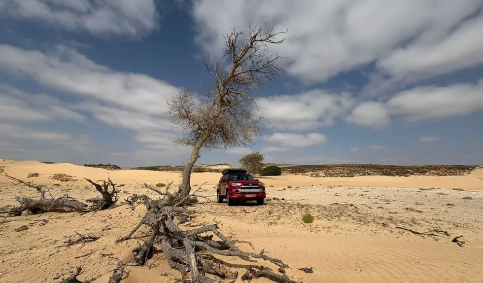 Driving on Sand in Oman – Best Locations, Tips & Safety Guide