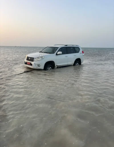 Bar Al Hickman 11.jpg