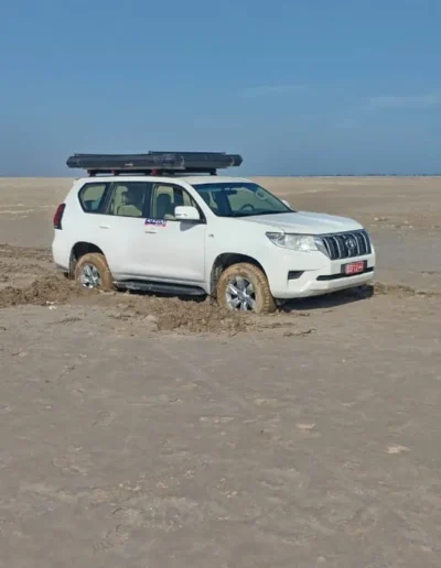 Bar Al Hickman 16.jpg