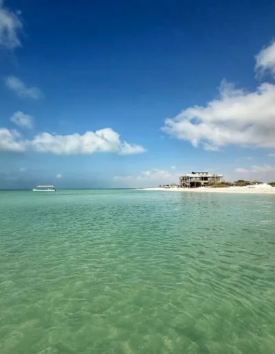 Bar Al Hickman 4.jpg