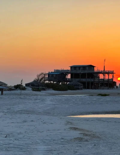 Bar Al Hickman 5.jpg