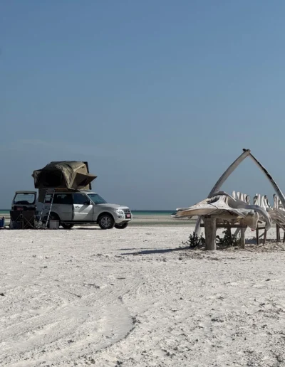 Bar Al Hickman 6.jpg