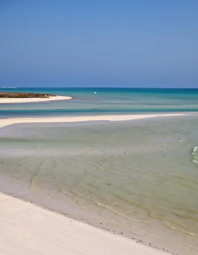 Bar Al Hickman 8.jpg